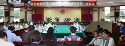律师刘海英参政议政履职