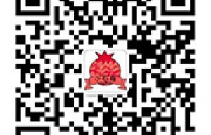 襄阳网站建设设计，襄阳网站平台搭建，襄阳网站制作