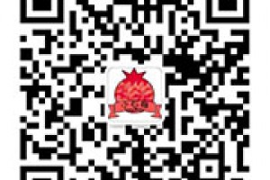 襄阳网站建设设计，襄阳网站平台搭建，襄阳网站制作
