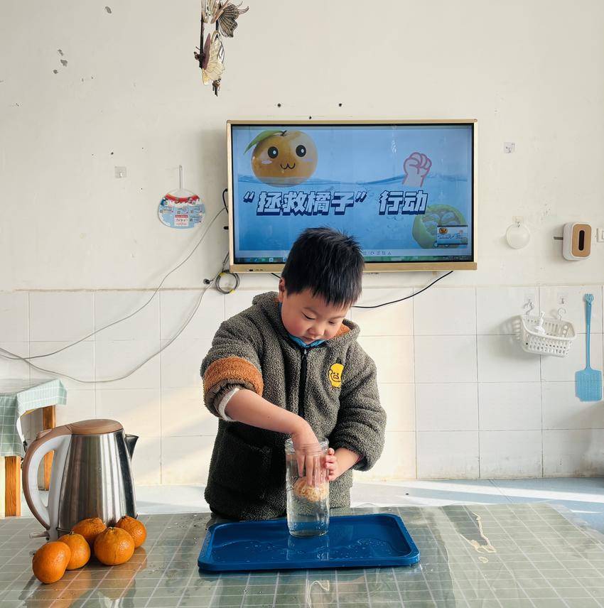 “橘子趣味双体验”:旋转取橘实验+暖心煮水,快乐翻倍!