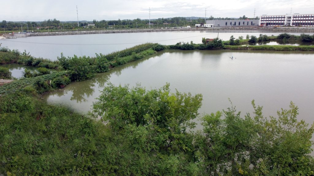 垂钓宜人处，荆门市龙盘湖农庄优美的自然环境——鱼塘
